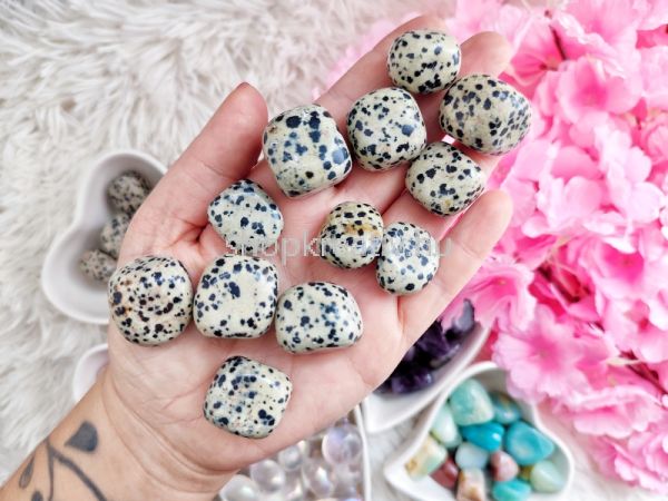  Dalmata jspis marokk kb. 3 cm
